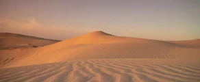 الوادي قمار: استئجار طائرة خاصة
