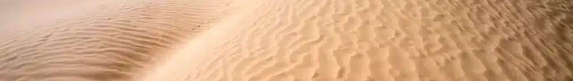 توزر نفطة: استئجار طائرة خاصة