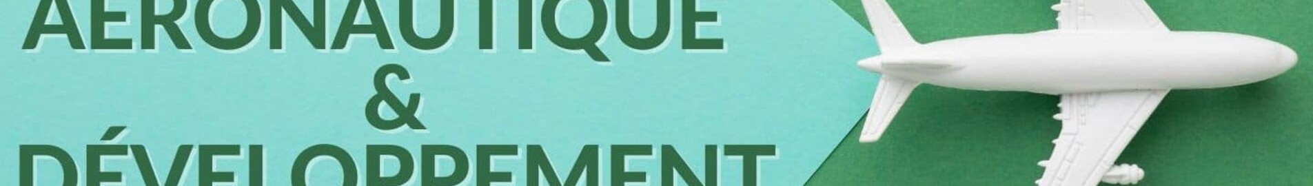 التحديات التي تواجه صناعة الطيران في سياق التنمية المستدامة