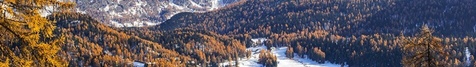 سان تروبيه - سان موريتز ساميدان: استئجار طائرة خاصة
