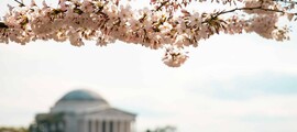 هيوستن - واشنطن العاصمة: استئجار طائرة خاصة
