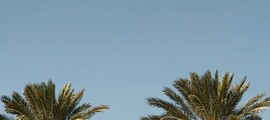 لاس فيغاس - سياتل: استئجار طائرة خاصة