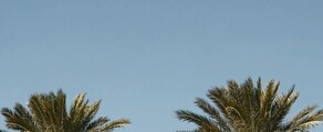 هيوستن - أورلاندو: استئجار طائرة خاصة