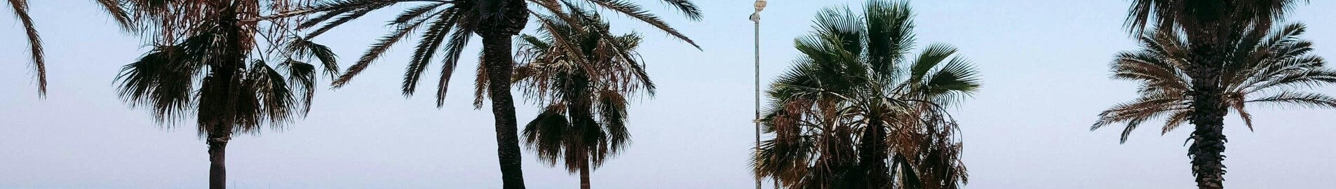 فرانكفورت - برشلونة: استئجار طائرة خاصة