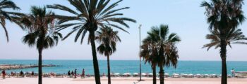 amsterdam palma location de jet privé